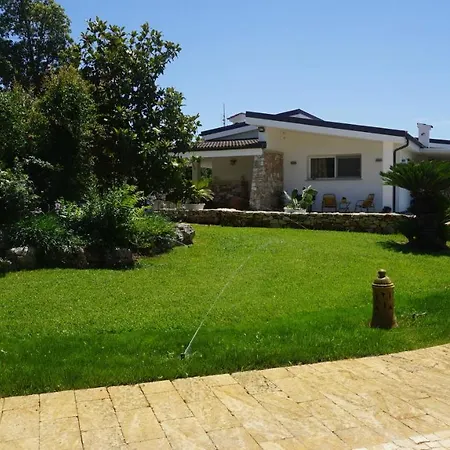 Cicia Удженто