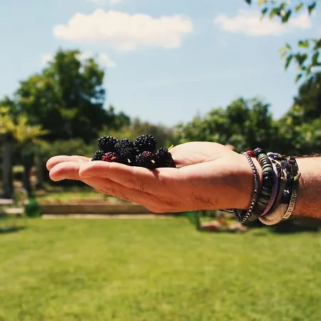 Cicia Дом отдыха