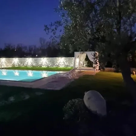 Cicia * Удженто