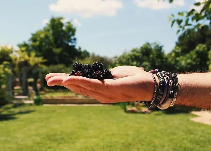 Cicia Semesterbostad